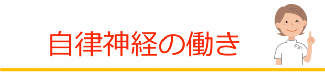 自律神経の働き