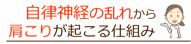 自律神経の乱れから肩こりが起こる仕組み