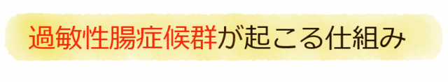 過敏性腸症候群が起こる仕組み