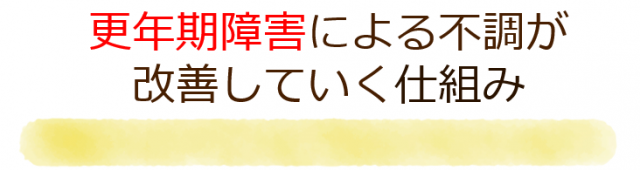 更年期障害による不調が改善していく仕組み