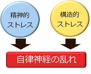 自律神経の乱れる原因