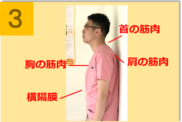 猫背で硬くなる筋肉
